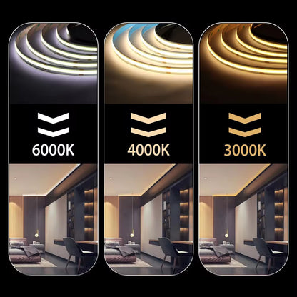 ZAVIO GlowStrip™ — 5M COB LED Light